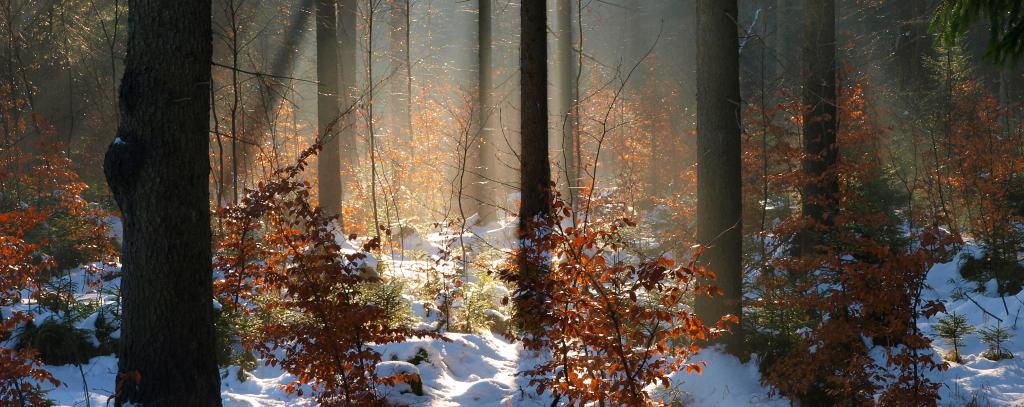 Foto: Andreas Roloff