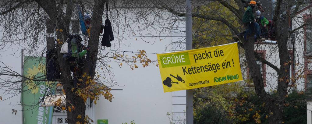A49-Protest: Baumbesetzung vor der Geschäftsstelle der hessischen Grünen in Wiesbaden (Foto: Olivier Samain)