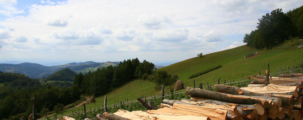 Der Holzeinschlag für die geplante Biomasse-Fernwärme in Serbien ist eine Bedrohung für die Wälder (Foto: Yahti.com)