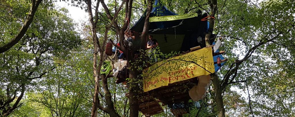 Baumhaus im Hambacher Wald (Foto: ROBIN WOOD)