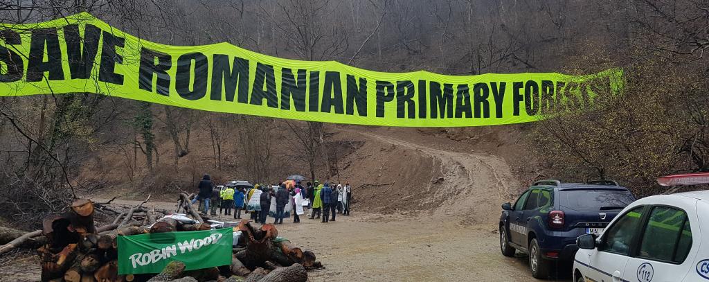 Bannerprotest gegen Kahlschlag für Stromtrasse durch rumänischen Urwald (Foto: ROBIN WOOD)