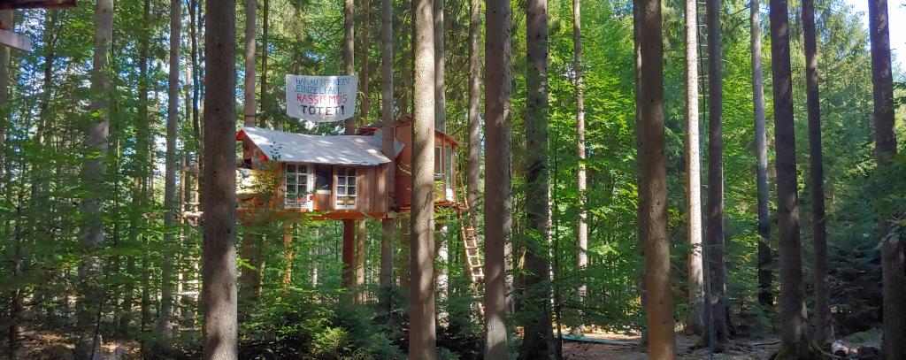 Baumhaus im Dannenröder Wald (Foto: Jana Ballenthien)