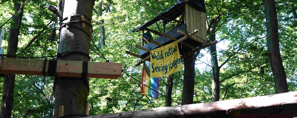 Baumhaus im Wald