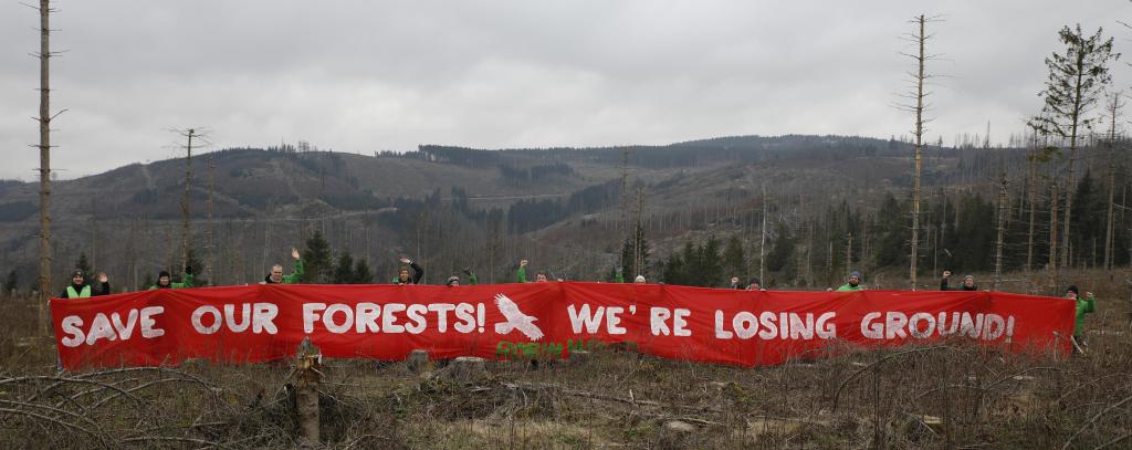 Banner action in the Harz Mountains in Germany to save forests and forest soils (Foto: ROBIN WOOD / Moritz Heck) Banner action in the Harz Mountains in Germany