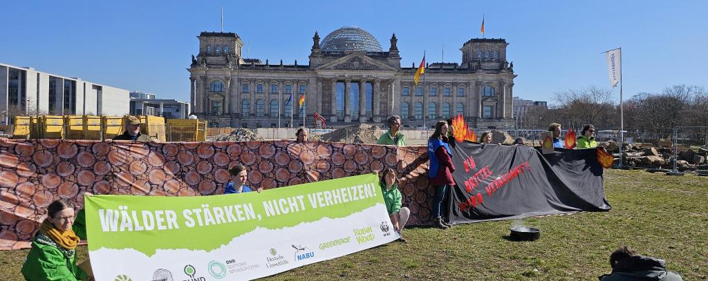 Ein Drittel des in Deutschland aus dem Wald entnommenen Holzes wird direkt verbrannt, um Energie zu erzeugen. Mit einer Protestaktion in Berlin fordern Umweltorganisationen, Wälder besser zu schützen und nicht zu verheizen, 20.03.2025 (Foto: ROBIN WOOD)