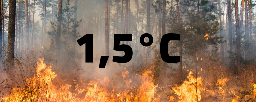 (Foto-Montage: ROBIN WOOD) Brennender Wald mit der Texteinblenung "1,5 Grad Celsius"