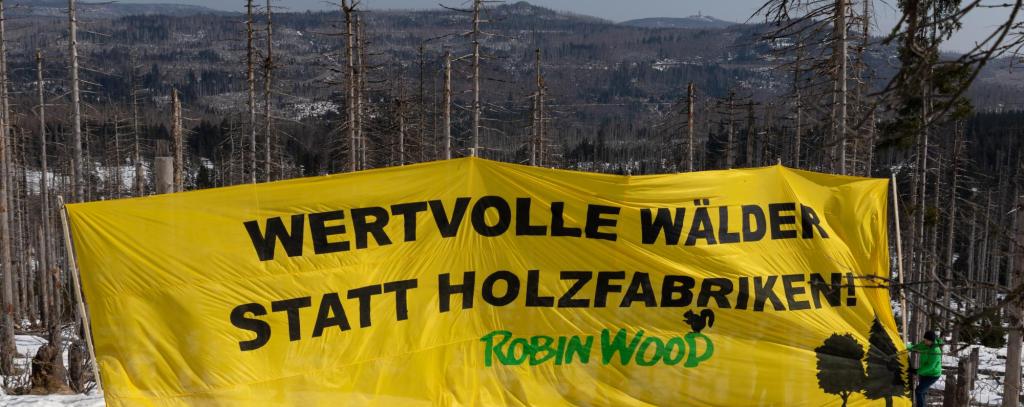 ROBIN WOOD-Protestbanner im Oberharz vor abgestorbenen Fichten-Monokulturen, 20.03.2022 (Foto: ROBIN WOOD / Moritz Heck) Menschen mit einem großen gelben Banner vor abgestorbenen Fichten im Harz.
