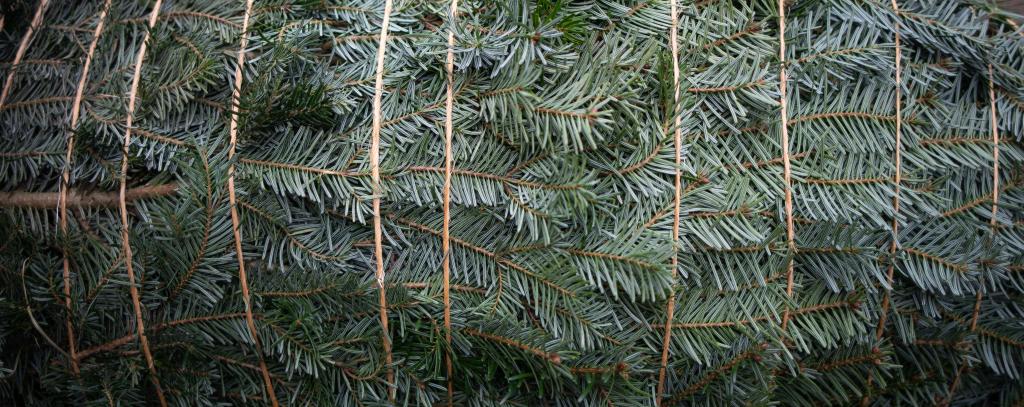 mit Schnur verpackter Öko-Weihnachtsbaum