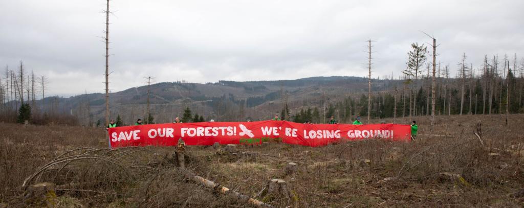 „Rettet unsere Wälder! Wir verlieren den Boden unter den Füßen!“ - Bannerprotest im Harz (Foto: ROBIN WOOD / Moritz Heck) Menschen halten großes rotes Protestbanner auf kahler Waldfläche im Harz