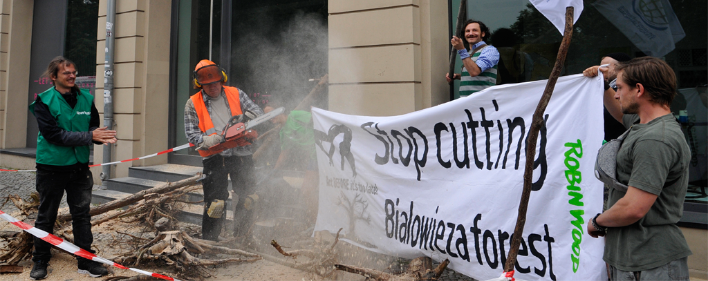 Foto: Knut Hildebrandt Save Bialowieza