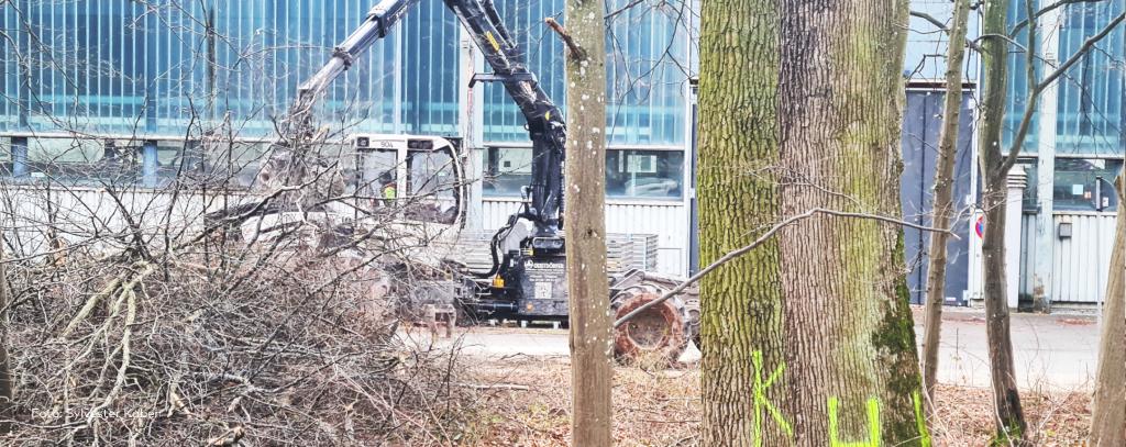 Foto von Rodungsarbeiten Uni Stuttgart 14.2.2024