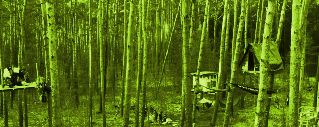 Besetztes Waldstück, Foto: ROBIN WOOD