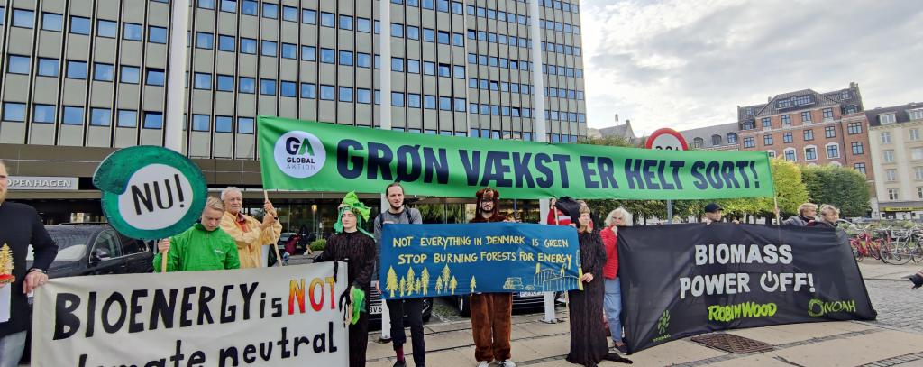 Protestaktion bei der Biomass PowerON-Konferenz in Kopenhagen 15.09.21 (Foto: ROBIN WOOD / Jana Ballenthien)
