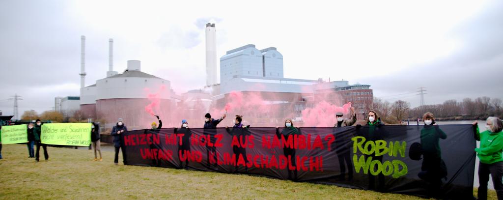 Protest gegen den Import von Holz aus Namibia für das Kraftwerk Tiefstack in Hamburg, 28.2.21 (Foto: Mirko Boll / ROBIN WOOD)