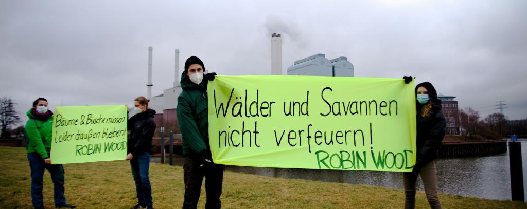 Protestaktion gegen Pläne, Holz aus Namibia im Hamburger Kraftwerk Tiefstack zu verfeuern (Foto: ROBIN WOOD / Mirko Boll)