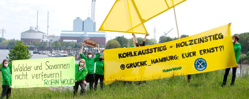 Büsche und Bäume nicht in Kraftwerken verbrennen - Protestaktion vor dem Kraftwerk Tiefstack, 29.05.21(Foto: ROBIN WOOD / Mirko Boll)