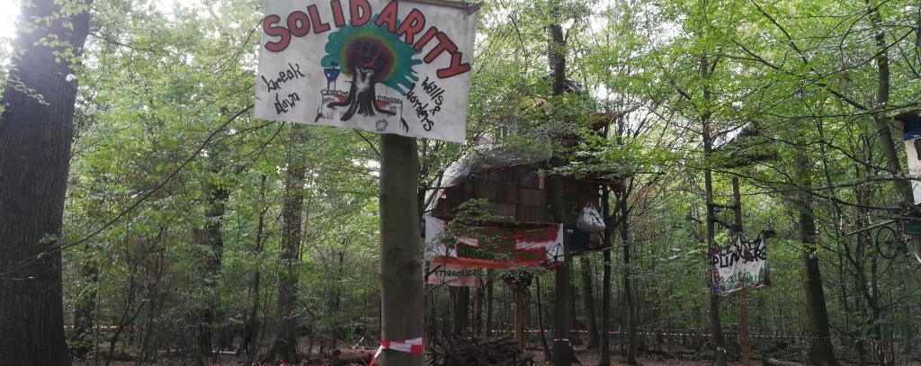 Hambacher Forst im September 2018 Hambacher Forst im September 2018