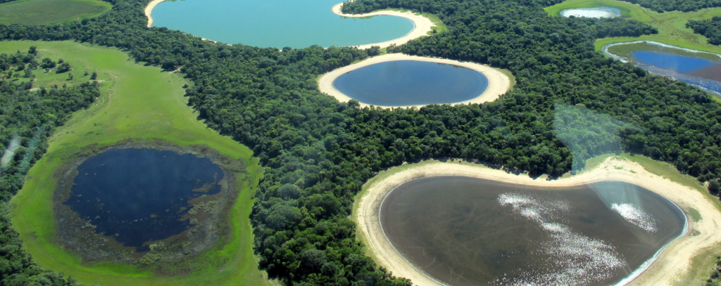 Lucas Leuzinger / Shutterstock via #together4forests Luftbildaufnahme des Pantanal, Brasilien - größtes Feuchtgebiet der Erde und eines der artenreichsten Biotope