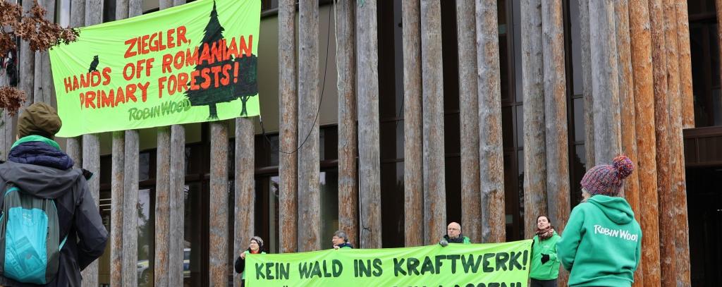 Kletterprotest beim Holzkonzern Ziegler in der Oberpfalz (Foto: ROBIN WOOD)