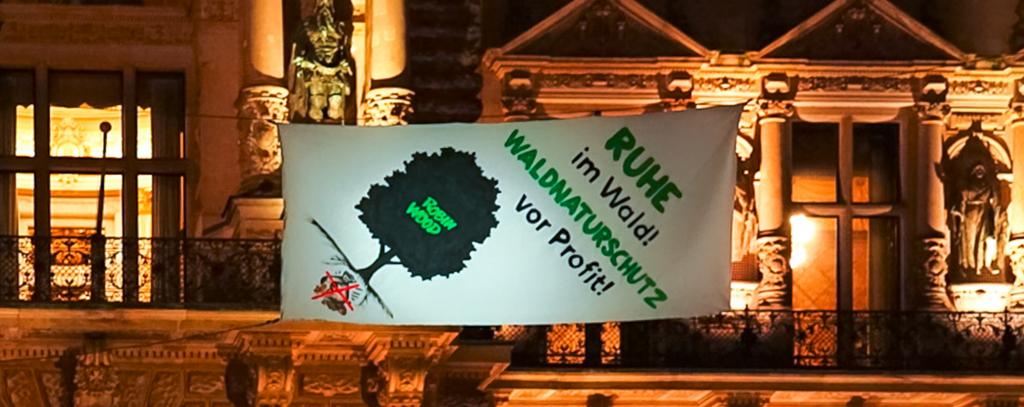 Foto: Tim Christensen Ruhe im Wald - Waldnaturschutz vor Profit!