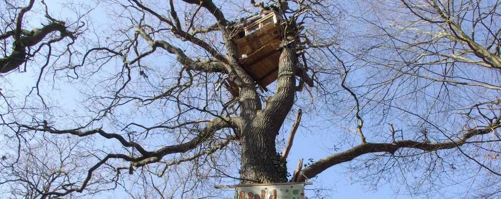 https://www.flickr.com/photos/hambacherforst/albums/72157679046446126/with/33062548266/