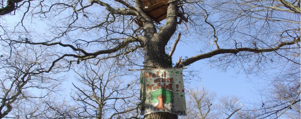 www.flickr.com/photos/hambacherforst