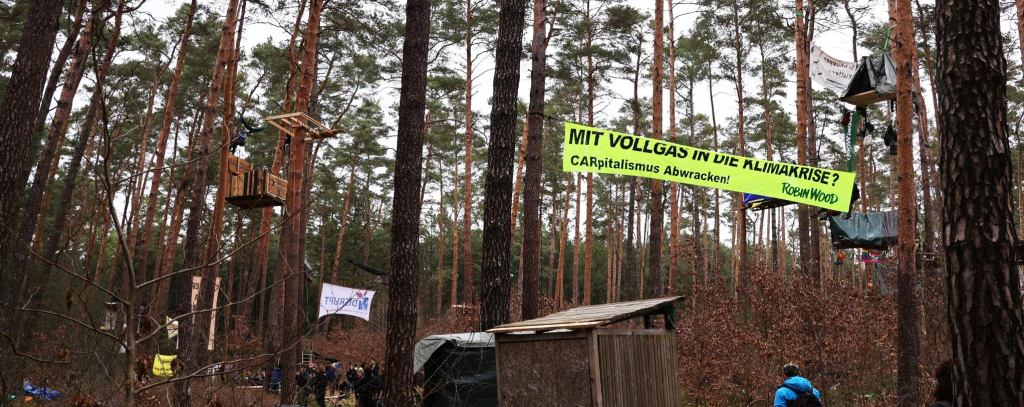 Ein Waldstück in Grünheide nahe dem Teslawerk mit Baumhäusern Ein Waldstück in Grünheide nahe dem Teslawerk mit Baumhäusern