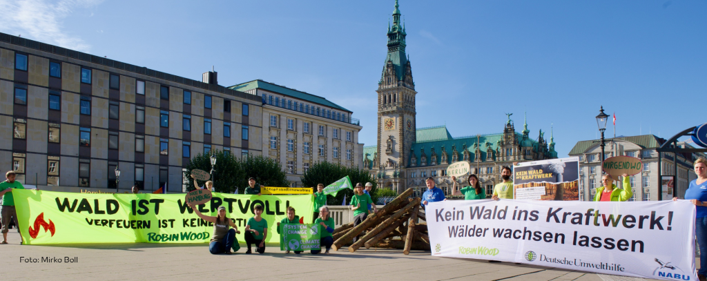 Gegen die geplante Verbrennung von Holzpellets im umgerüsteten Kohlekraftwerk Tiefstack hat ROBIN WOOD gemeinsam mit anderen Umweltorganisationen immer wieder protestiert, so auch hier in der Hamburger Innenstadt, 21.09.2023 (Foto: Mirko Boll) Aktive mit Protestbannern gegen Holzverbrennung vor dem Hamburger Rathaus