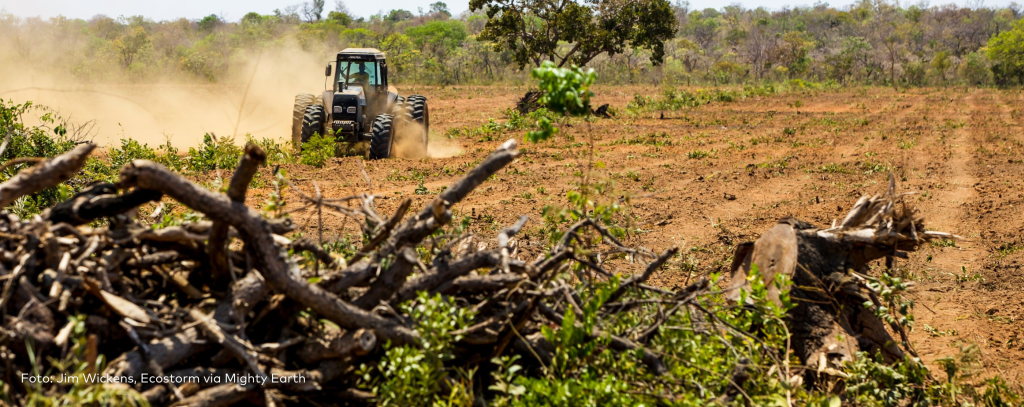 Traktor pflügt ein zuvor entwaldetes Feld in Brasilien (Foto: Jim Wickens, Ecostorm via Mighty Earth) Traktor pflügt ein zuvor entwaldetes Feld in Brasilien (Foto: Jim Wickens, Ecostorm via Mighty Earth)