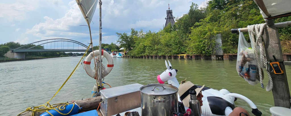 Foto: Jana Ballenthien / ROBIN WOOD Ausblick vom Floß mit Kuh