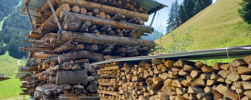 Immer mehr Holz landet in der Verbrennung, um Wärme zu erzeugen. Das schadet Klima und Natur. Zudem reichen die natürlichen Ressourcen nicht aus, um fossile Energieträger im großen Umfang dadurch zu ersetzen. (Foto: ROBIN WOOD / Ute Bertrand) Holzstapel