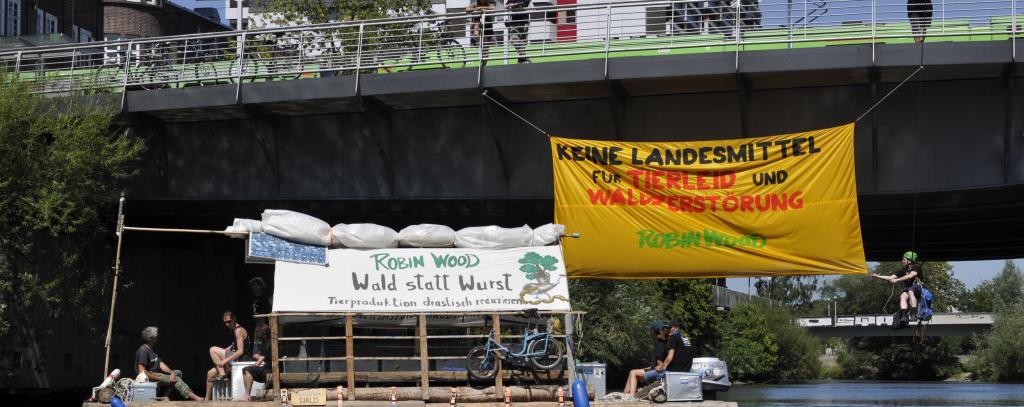 Foto: Knut Hildebrandt