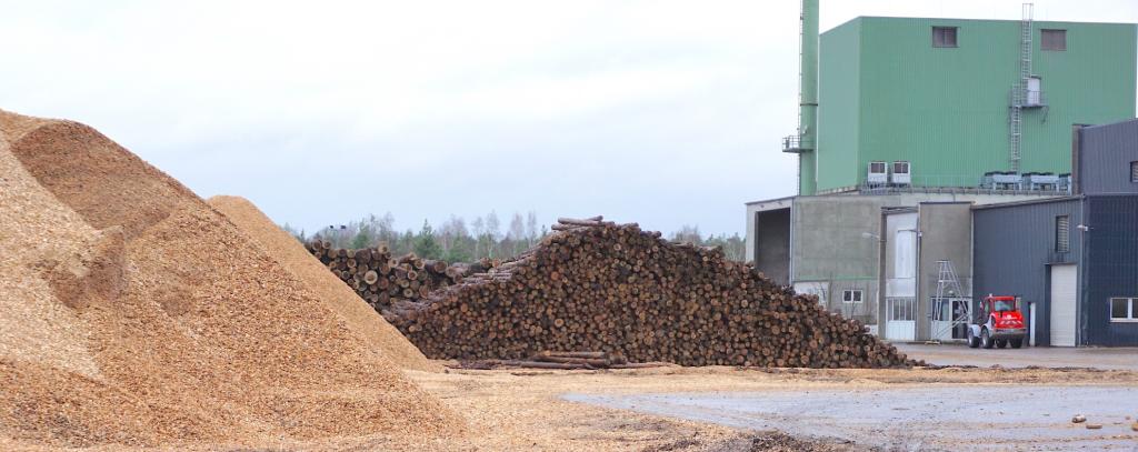 Holzstämme und Hackschnitzel auf Werksgelände