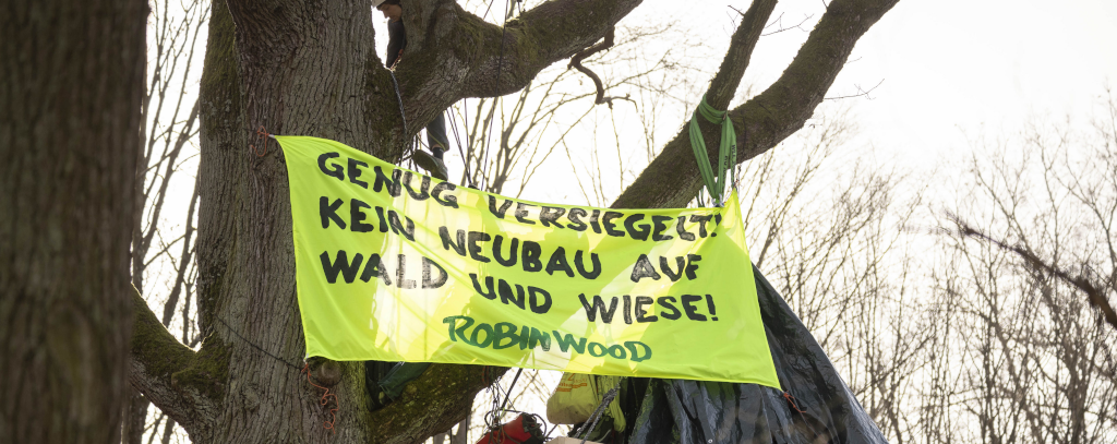 Protest in der Baumkrone gegen Baumfällungen auf dem Gelände der Universität Stuttgart (Foto: ROBIN WOOD) Gelbes Protestbanner in Baumkrone