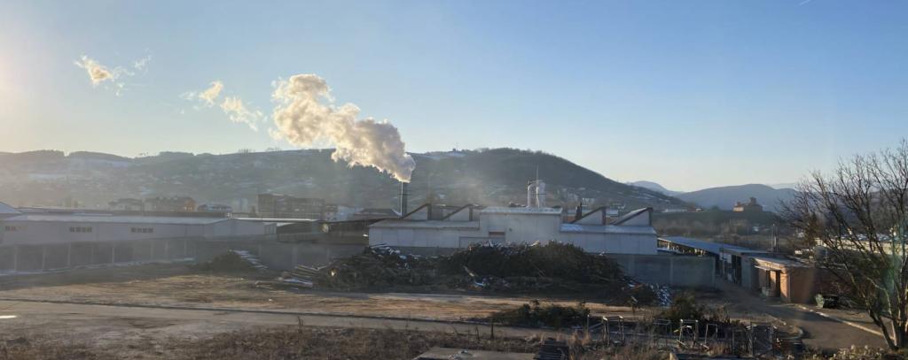 Holzheizkraftwerk in Novi Pazar (Serbien) - Das Verfeuern von Holz schadet Wäldern und Klima und sollte nicht gefördert werden (Foto: Nataša Kovačević)