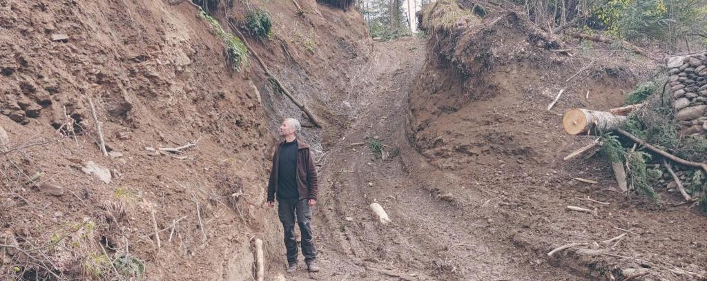Rückegasse im Natura 2000-Gebiet im Fagaras-Gebirge in Rumänien / Die EU muss auf konsequenten Waldschutz pochen und dafür sorgen, dass keine Rohstoffe und Produkte aus Waldschädigung auf den Markt gelangen