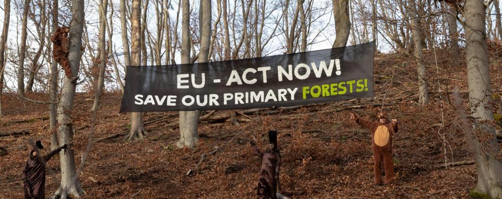 Protestaktion für den Schutz der rumänischen Karpaten (Foto: Moritz Heck / ROBIN WOOD) Menschen in Bären- und Baumkostümen vor einem Banner "EU - Act now! Save our Primary Forests!"