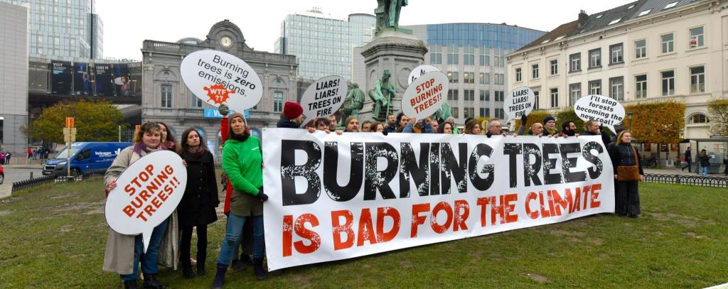 Aktive auf einer Wiese mit Protestbanner gegen das Verfeuern von Holz 