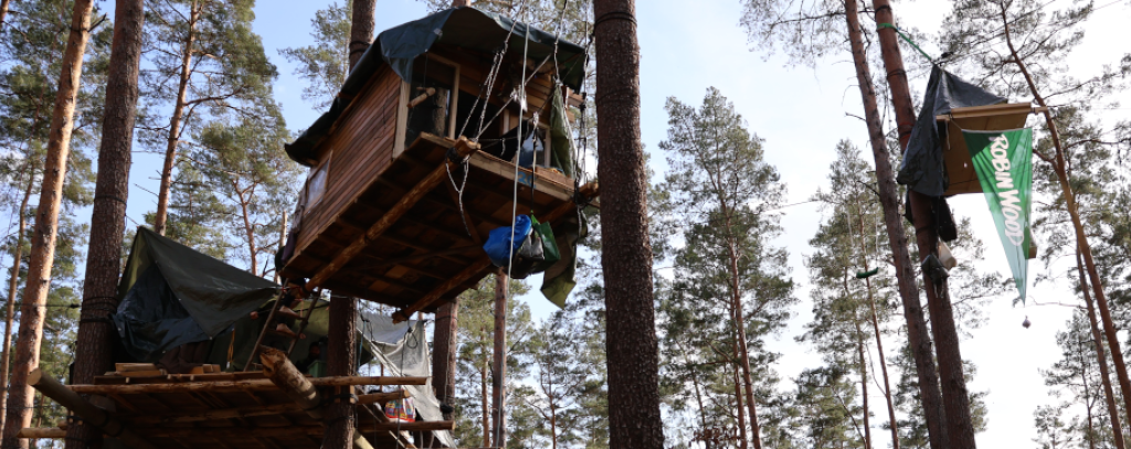 Foto vom Wasserwald im März 2024: Christina Albrecht / ROBIN WOOD Foto Baumhäuser