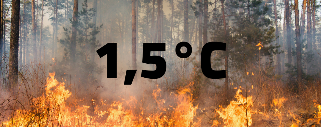 Brennender Wald mit der Texteinblenung "1,5 Grad Celsius"