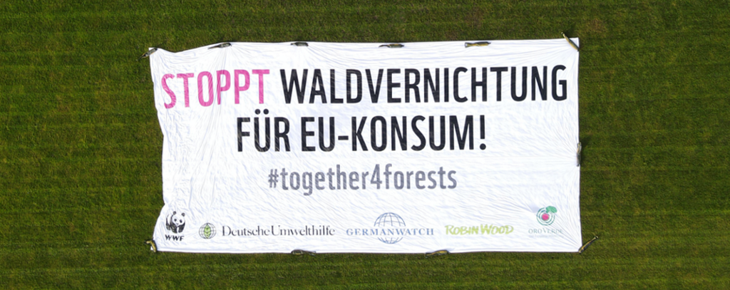 Transpi auf Fußballfeld Stopp Waldvernichtung für EU-Konsum