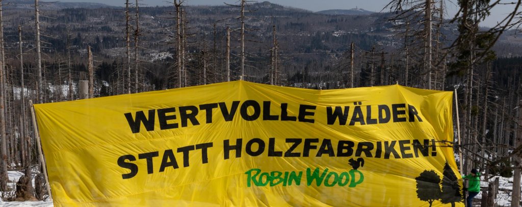 ROBIN WOOD-Protestbanner im Oberharz vor abgestorbenen Fichten-Monokulturen, 20.03.2022 (Foto: ROBIN WOOD / Moritz Heck) Menschen mit einem großen gelben Banner vor abgestorbenen Fichten im Harz.