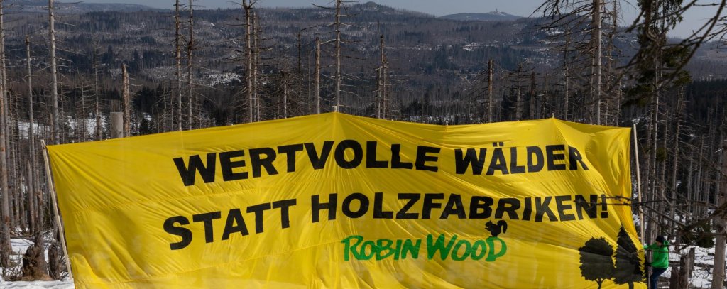 Menschen mit einem großen gelben Banner vor abgestorbenen Fichten im Harz.