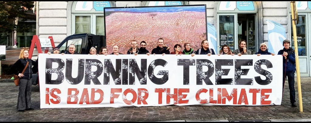 Internationaler Protest vor dem EU-Parlament in Brüssel, November 2021 (Foto: Bündnis "Biomass out of RED")