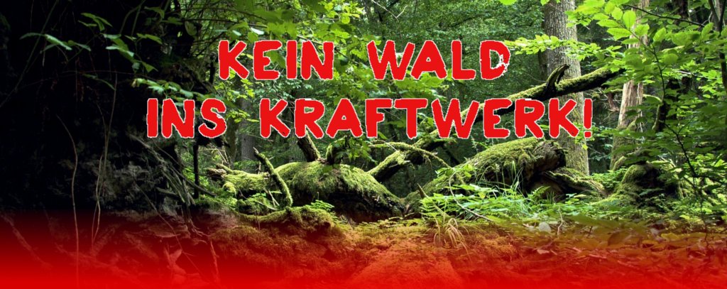 Foto: Beata Hyży-Czołpińska Kein Wald ins Kraftwerk!