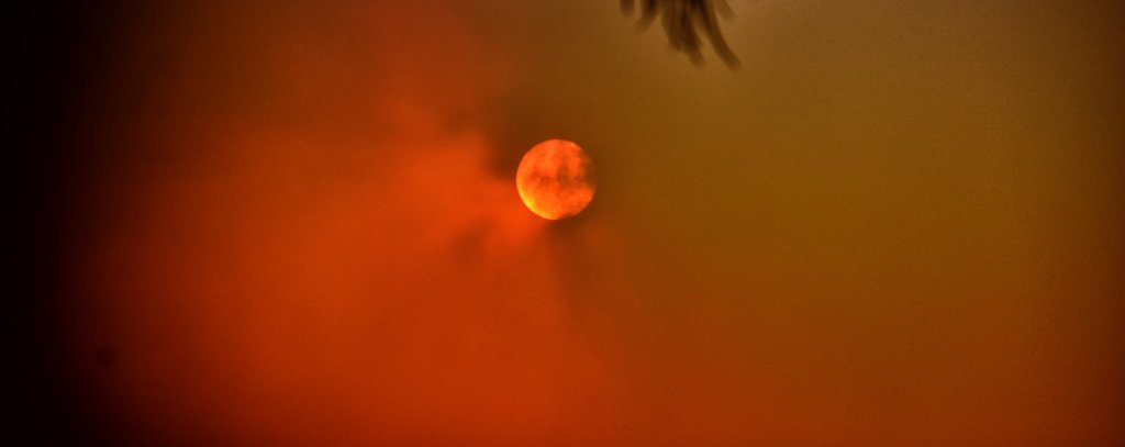 Nachmittagssonne in NSW, Australien während der Buschfeuersaison 2019-2020