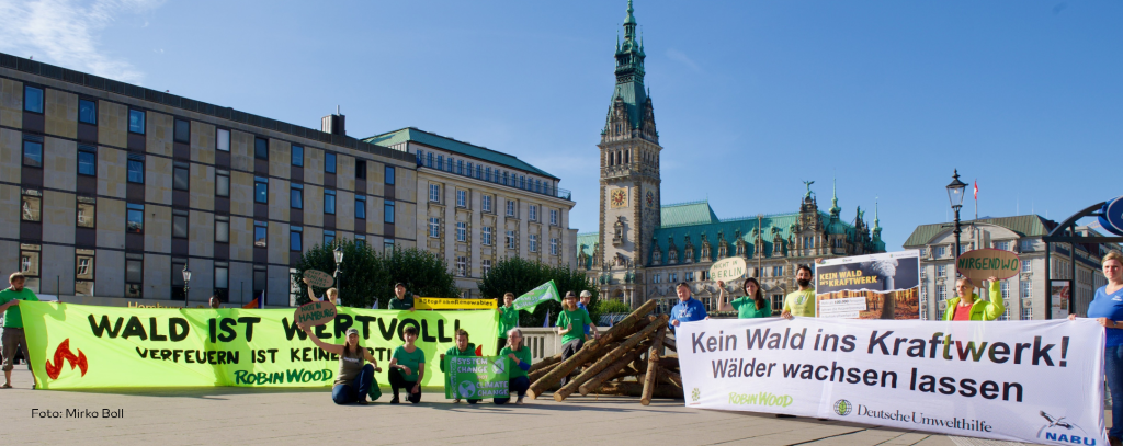 Aktionsfoto Petitionsübergabe Kein Holz ins Kraftwerk