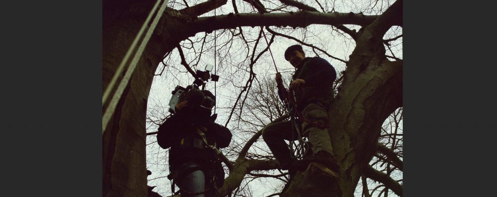 Karsten und Kameramann auf einem Baum