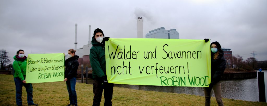 Protestaktion gegen Pläne, Holz aus Namibia im Hamburger Kraftwerk Tiefstack zu verfeuern (Foto: ROBIN WOOD / Mirko Boll)