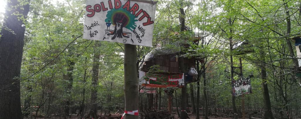 Hambacher Forst im September 2018 Hambacher Forst im September 2018